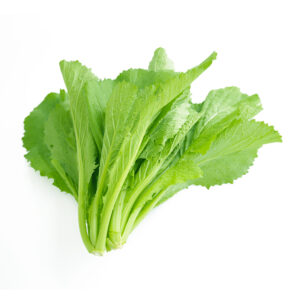 Green Mustard