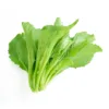 Mustard greens