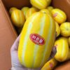 Korean melon