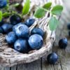 Blueberry